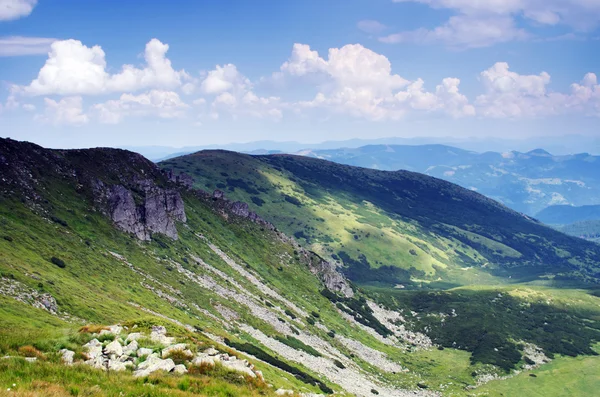 Mattina nebbioso fianco della montagna (Carpazi Mt, Ucraina ) — Foto Stock