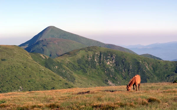 La montaña más alta de Ucrania Hoverla — Foto de Stock