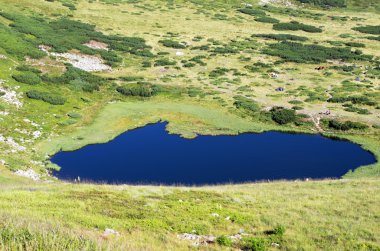 Ukraynalı Karpatlar yayla Gölü Nesamovyte. Chornohor
