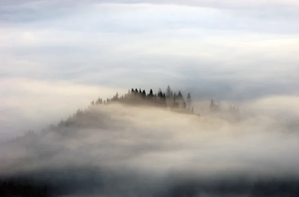 Verbazingwekkend berglandschap met dichte mist. Karpaten — Stockfoto