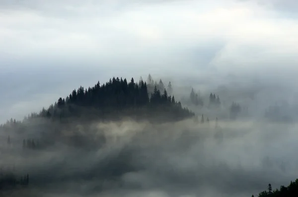 Amazing mountain landscape with dense fog. Carpathian Mountains — Stock Photo, Image