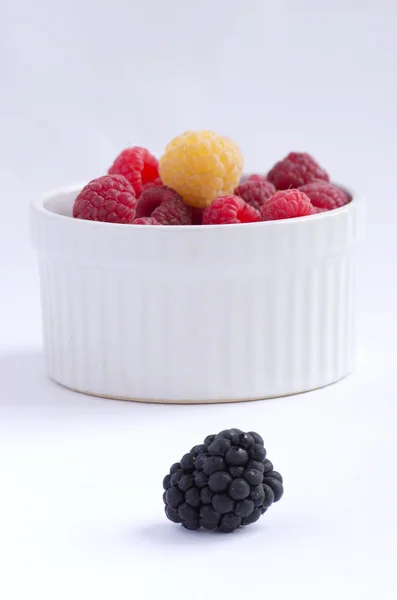 A beautiful selection of freshly picked ripe red raspberries — Stock Photo, Image