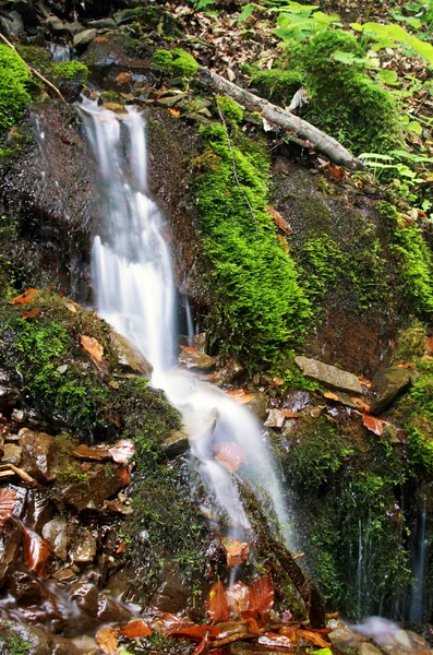 Bela cachoeira cena, ucraniana carpathian shipot cachoeira — Fotografia de Stock