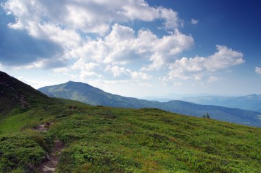 akşam Dağı Yaylası peyzaj (Karpat, Ukrayna) 