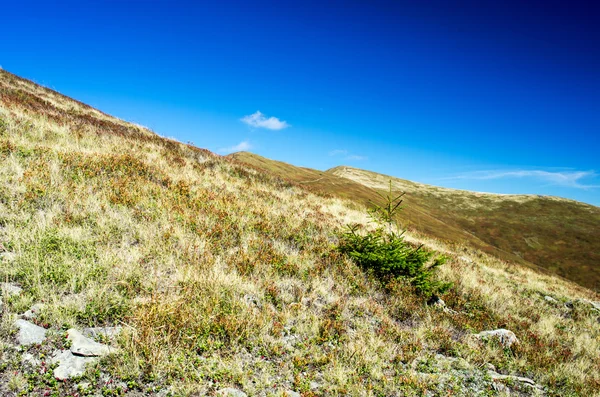 Avond plateau berglandschap (Karpaten, Oekraïne) — Stockfoto