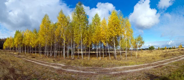 Ścieżka przez jesienny las — Zdjęcie stockowe