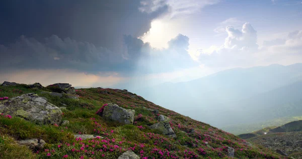 Karpat Dağları. Dağların Panoraması — Stok fotoğraf