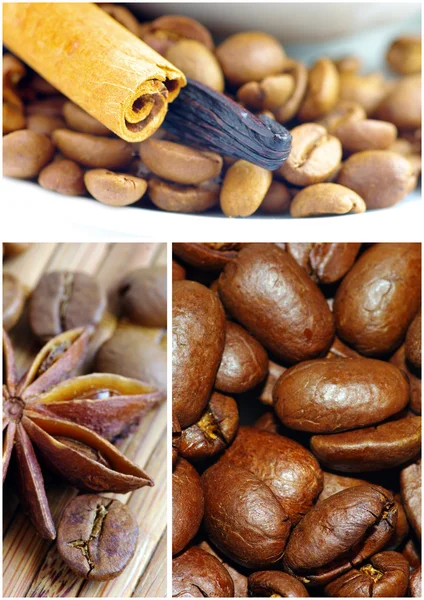 Coffee Collage with spice — Stock Photo, Image