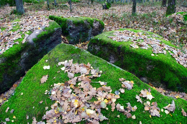 El pueblo de piedra tracto, pueblo de la región de Zhytomyr de Rudnya- Zamy — Foto de Stock