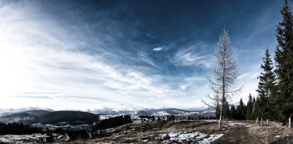 Valle montañoso de los Cárpatos cubierto de nieve fresca. Majestuoso lan — Foto de Stock