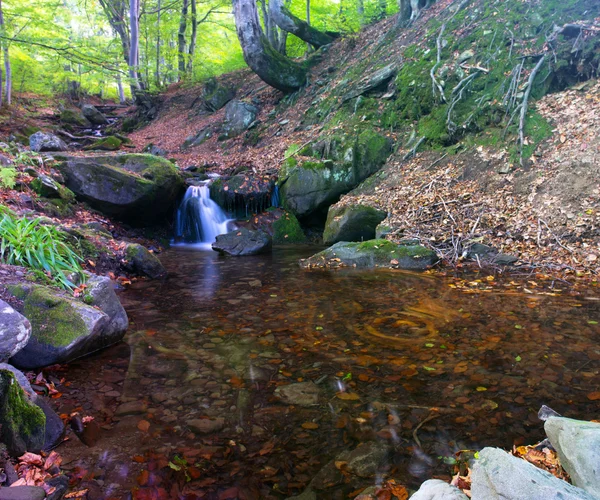 在喀尔巴阡秋季森林瀑布。水与运动蓝光 — 图库照片