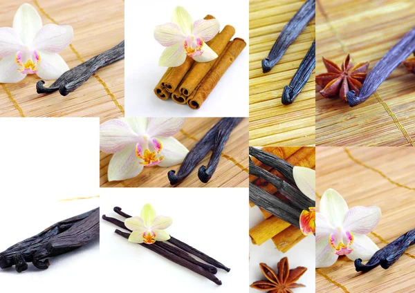 Vanilkové koření s květy orchidejí — Stock fotografie