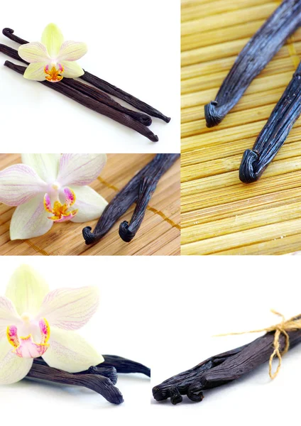 Épice vanille aux fleurs d'orchidées — Photo