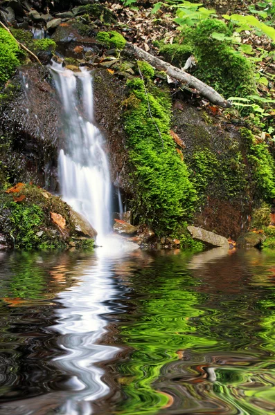 Beautiful waterfall scene, ukraine carpathian shipot waterfall — Stock Photo, Image