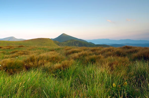 A legmagasabb hegy Ukrajna Hoverla 2061 m. legnagyobbikja ridge — Stock Fotó