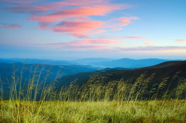 Akşam Dağı Yaylası peyzaj (Karpat, Ukrayna) — Stok fotoğraf