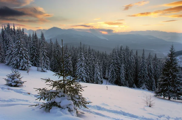 Majestueuze winterlandschap gloeiende door zonlicht in de ochtend. Dr — Stockfoto