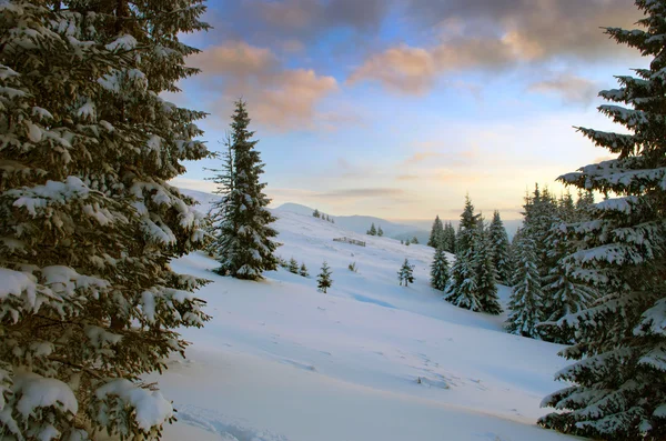 在早晨阳光的照射下发光的雄伟冬季景观。博士 — 图库照片