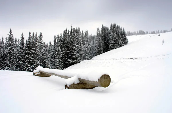 Bosque de invierno congelado en la niebla. Cárpatos, Ucrania — Foto de Stock