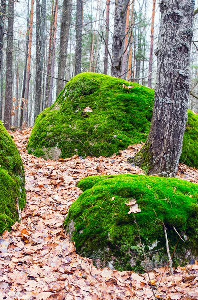 El pueblo de piedra tracto, pueblo de la región de Zhytomyr de Rudnya- Zamy — Foto de Stock