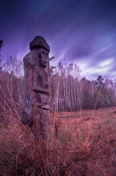 Деревянная статуя славянского идола. Украина — стоковое фото