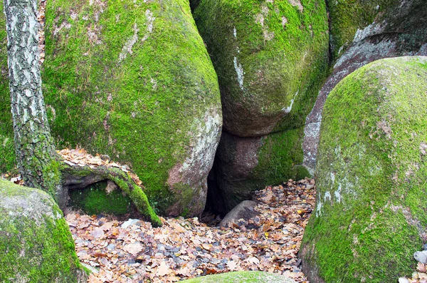 Yolu taş köy, Zhytomyr bölgesi Köyü, Rudnya-Zamy — Stok fotoğraf