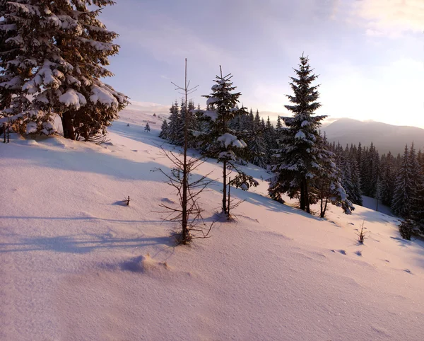 Fantástico paisaje nocturno resplandeciente por la luz del sol. Dramática invernada — Foto de Stock