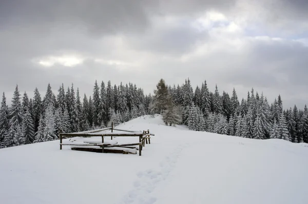 Majestuoso paisaje de invierno que brilla por la luz del sol en la mañana. Dr. — Foto de Stock