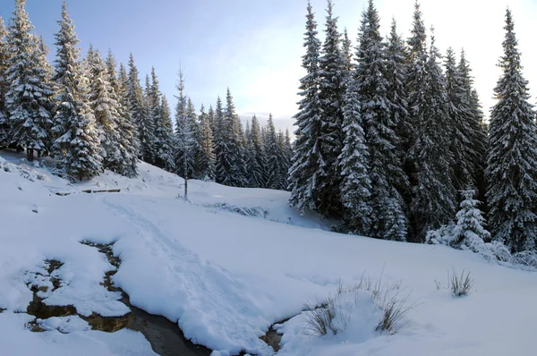 Río de montaña en invierno paisaje — Foto de Stock