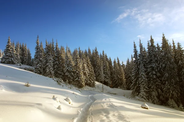 Majestuoso paisaje de invierno que brilla por la luz del sol en la mañana. Dr. — Foto de Stock
