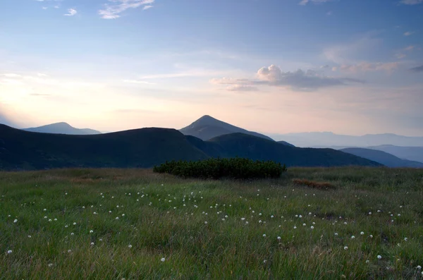 The highest mountain of Ukraine Hoverla 2061 m. Chornogora ridge — Stock Photo, Image