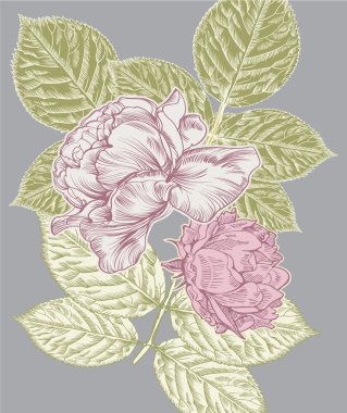 Kartpostal ile gül çiçek