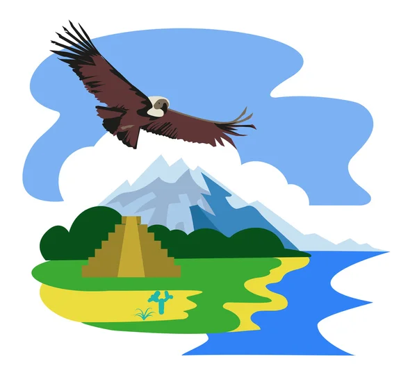 Condor acima do México — Vetor de Stock