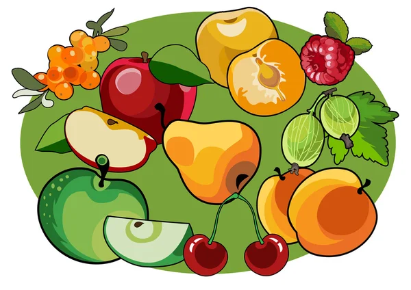 Image of several fruits image — Stock Vector