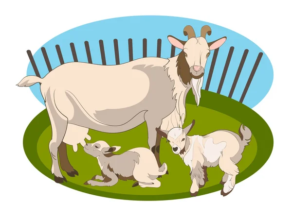 Goat and her cubs — Stock Vector