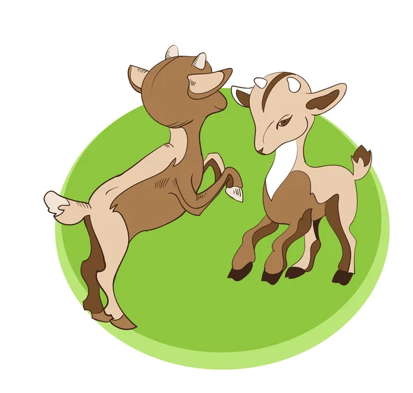 Two young goats — Stock Vector