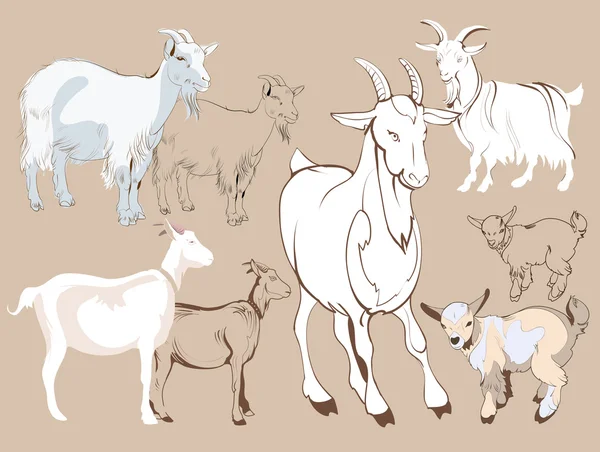 Ручні ескізи кози — стоковий вектор