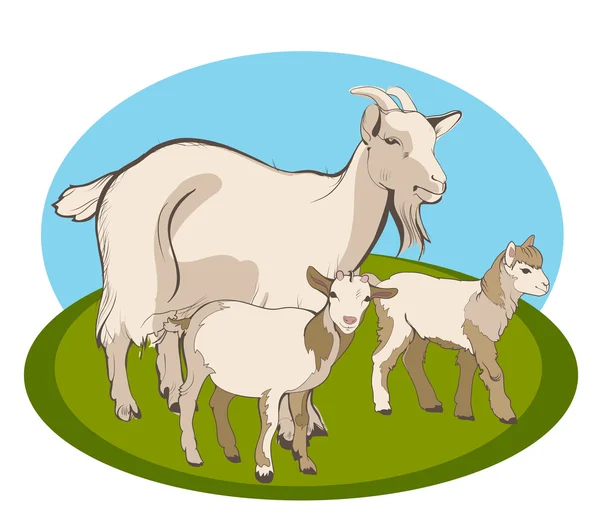 Goat and her kids — Stock Vector