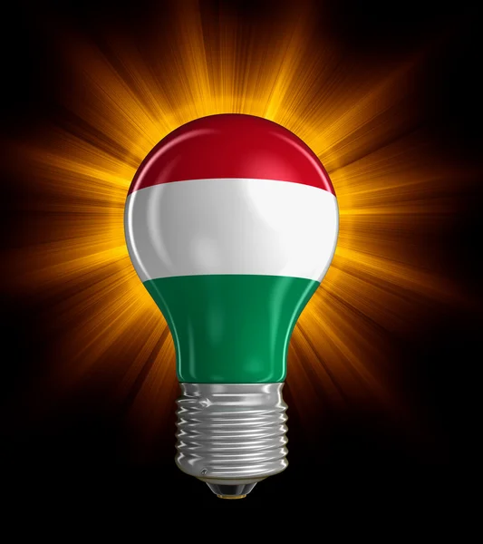 헝가리 국기와 함께 라이트 전구입니다. 이미지 클리핑 경로 — 스톡 사진