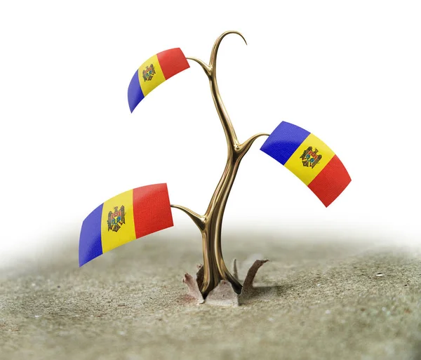 Broto Com Bandeira Moldávia Branco — Fotografia de Stock
