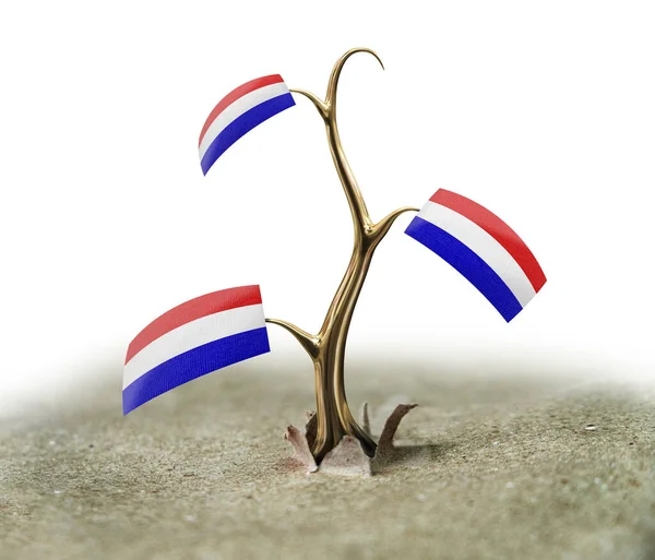 Sprossen Mit Holländischer Flagge Auf Weiß — Stockfoto