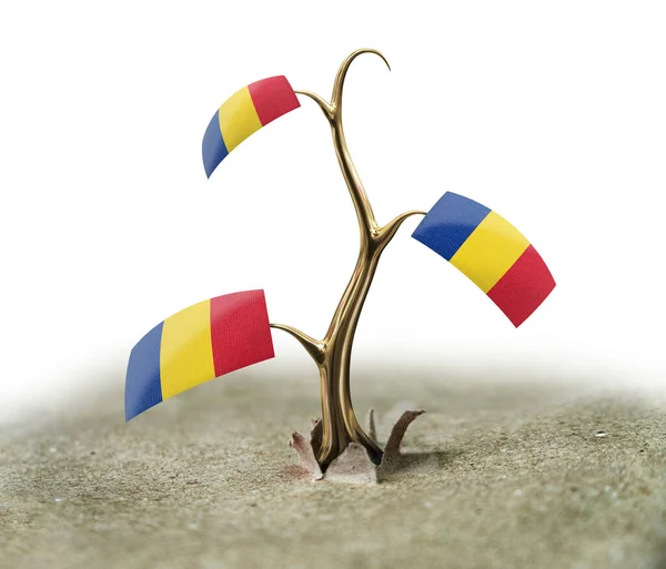 Sprossen Mit Rumänischer Flagge Auf Weiß — Stockfoto