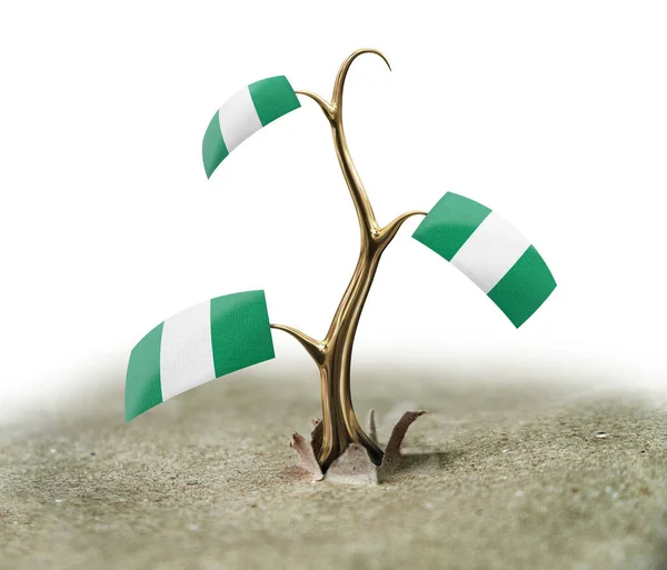 Sprout Nigerian Flag White — Stock Photo, Image