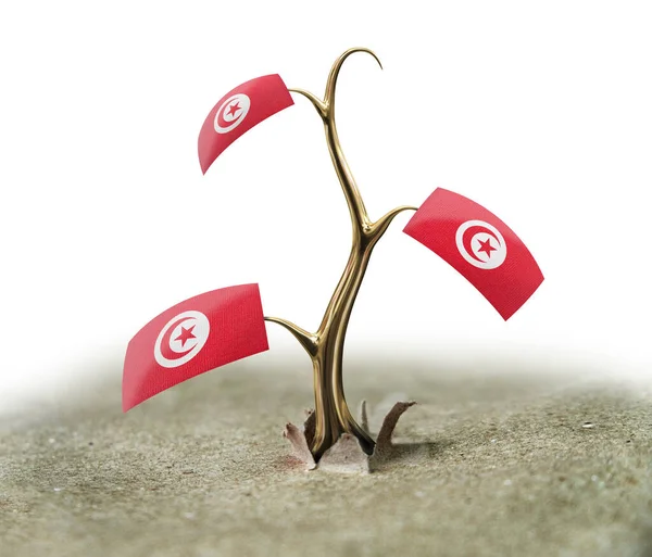 Sprout Tunisian Flag White — Stock Photo, Image