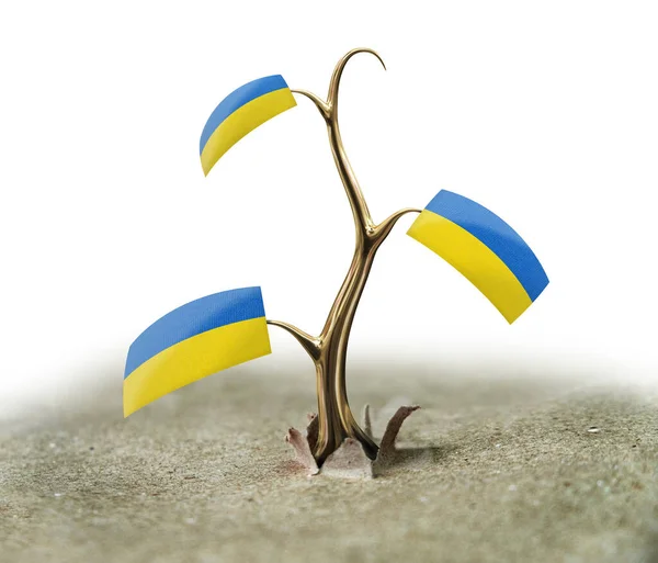 Sprout Ukrainian Flag White — Stock Photo, Image