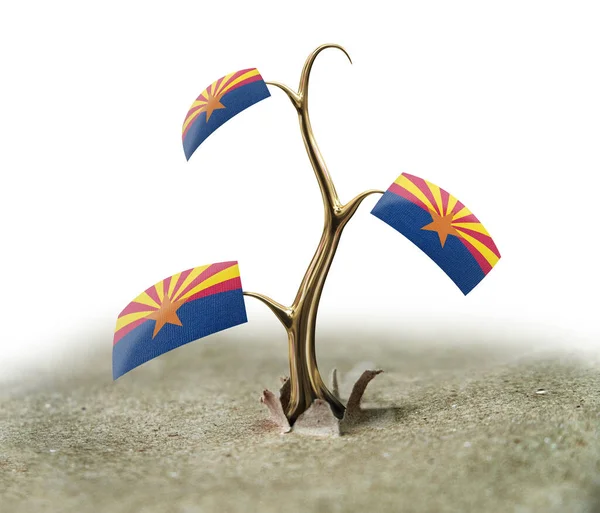 Sprout Arizona Flag White — Stock Photo, Image