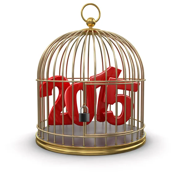 Gold Cage with 2015 (clipping path included) — Stock Photo, Image