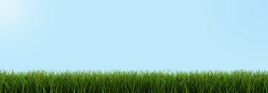 çim closeup (dahil kırpma yolu)