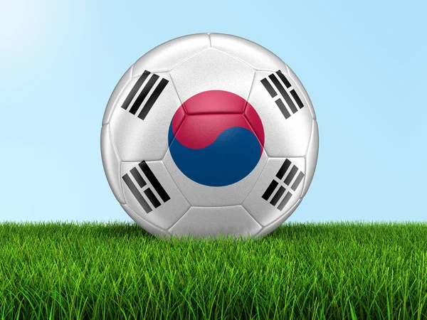 Sepak bola sepak bola dengan bendera Korea Selatan di rumput — Stok Foto