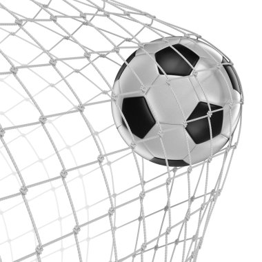 Gol net (dahil kırpma yolu)